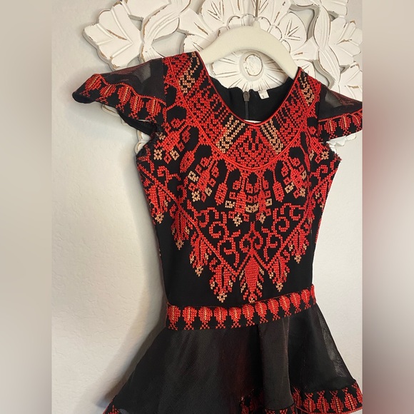 Girls embroidered ruffle dresses size 2T BRAND NEW no tags though! - Picture 10 of 11